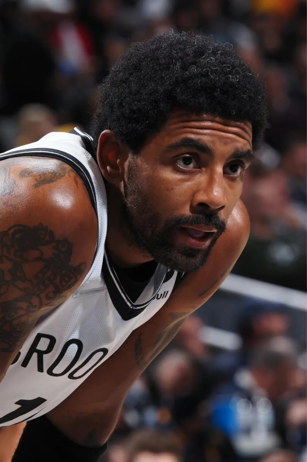 核心球员的 核心球员的